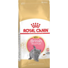 Royal Canin Cat Breed British Short Kitten
